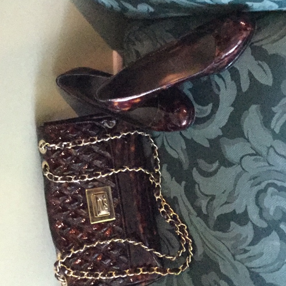 Matching shoes and purse